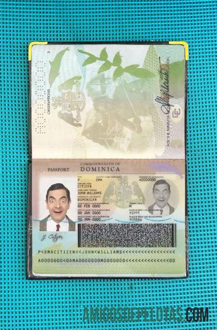 Foto do passaporte dominicano exemplo real